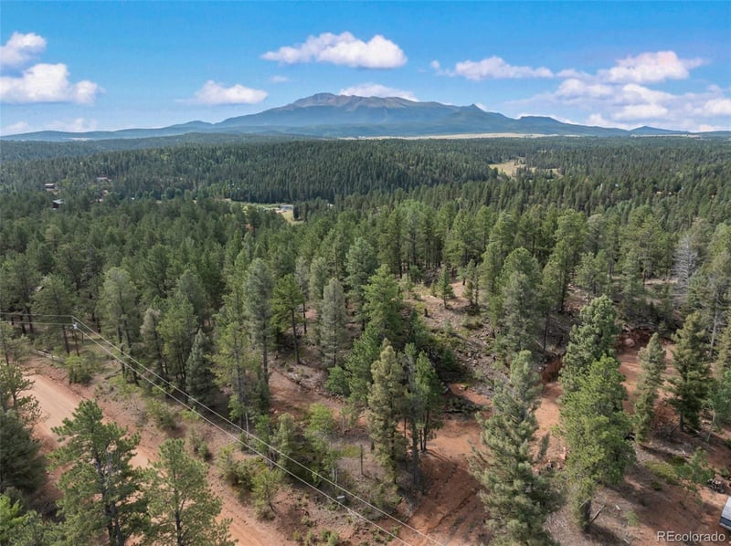 422 Spring Valley Dr, Divide, CO 80814