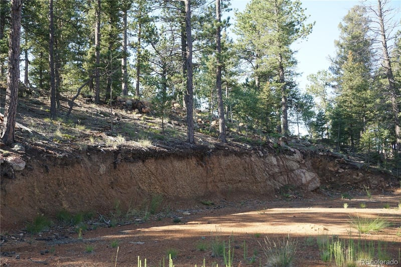 422 Spring Valley Dr, Divide, CO 80814