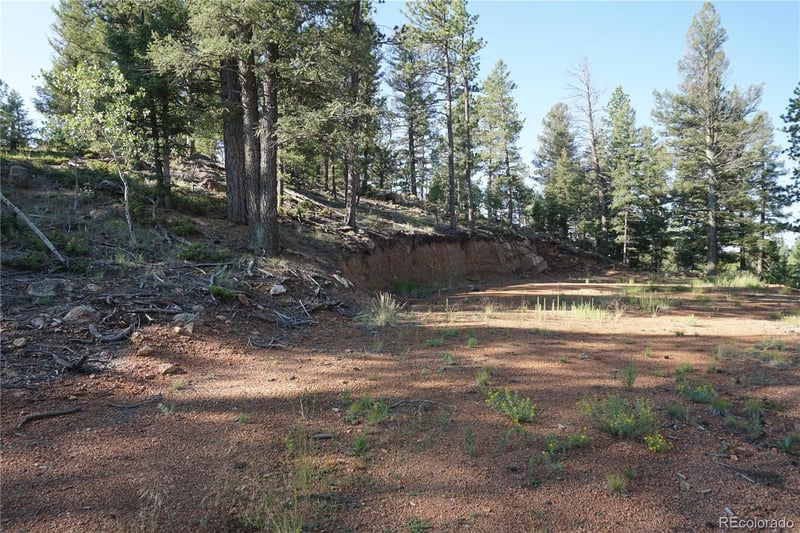 422 Spring Valley Dr, Divide, CO 80814