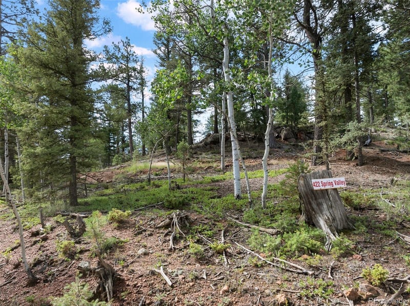 422 Spring Valley Dr, Divide, CO 80814