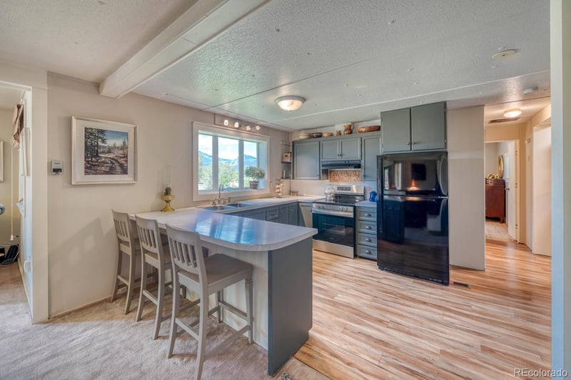 30350 County Road 383, Buena Vista, CO 81211