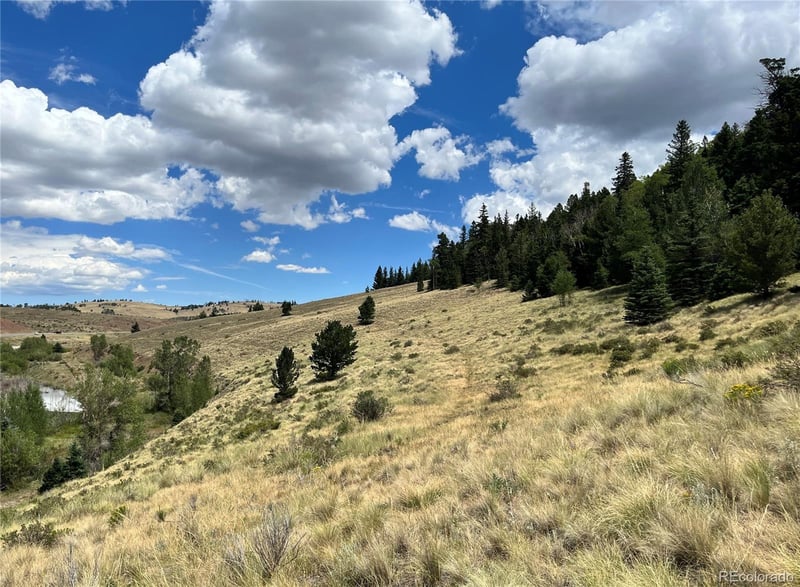 Highway 160 , Fort Garland, CO 81133