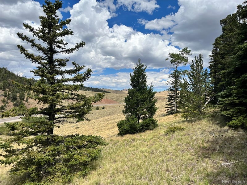 Highway 160 , Fort Garland, CO 81133