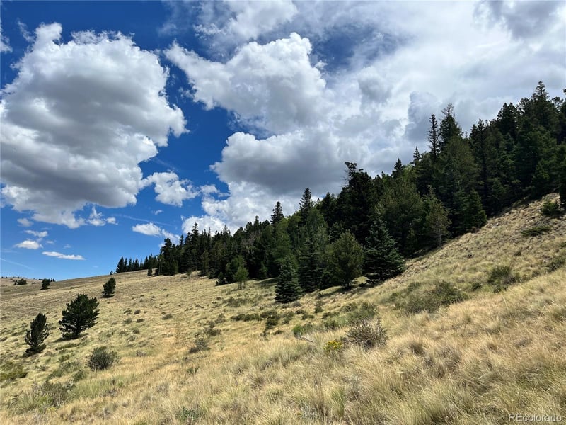 Highway 160 , Fort Garland, CO 81133
