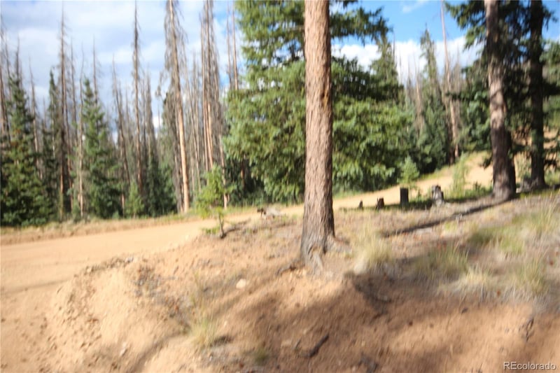 LOT 6524 Forbes Rd, San Luis, CO 81152