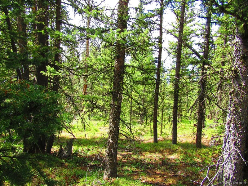 LOT 6524 Forbes Rd, San Luis, CO 81152