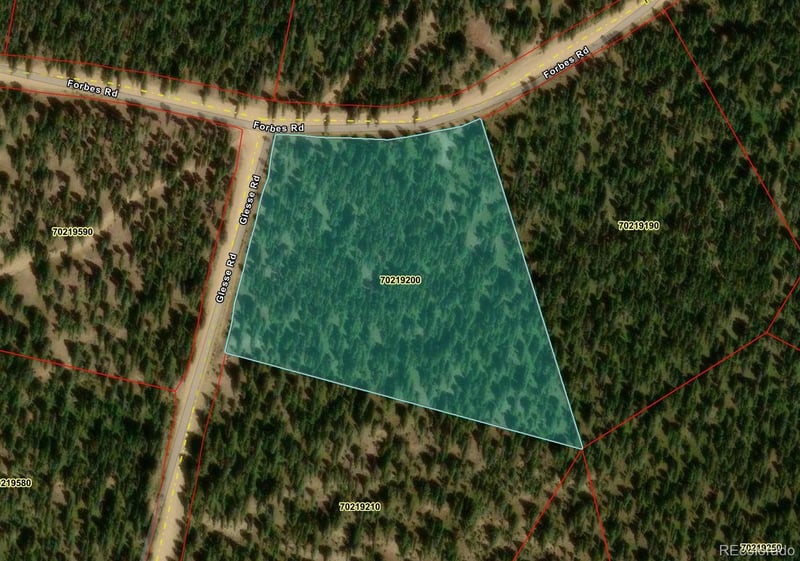 LOT 6524 Forbes Rd, San Luis, CO 81152