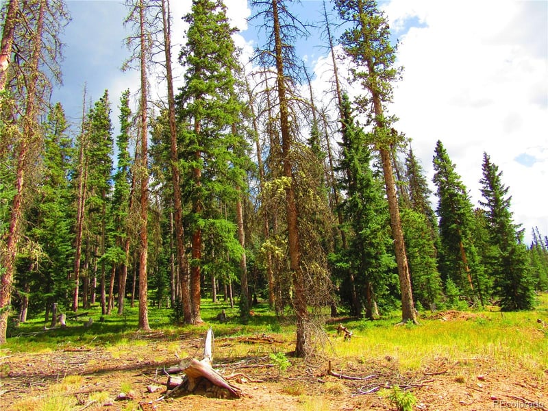 LOT 6524 Forbes Rd, San Luis, CO 81152
