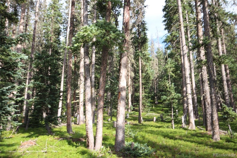 LOT 6524 Forbes Rd, San Luis, CO 81152
