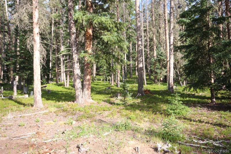 LOT 6524 Forbes Rd, San Luis, CO 81152