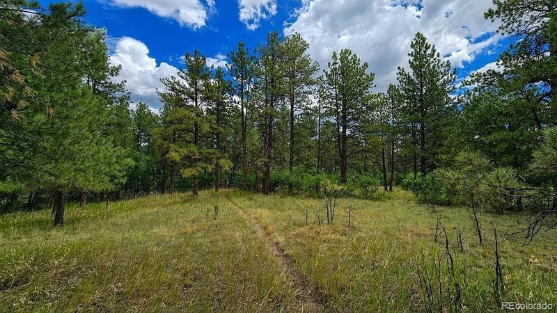 00 Westwood Rd, Colorado Springs, CO 80919