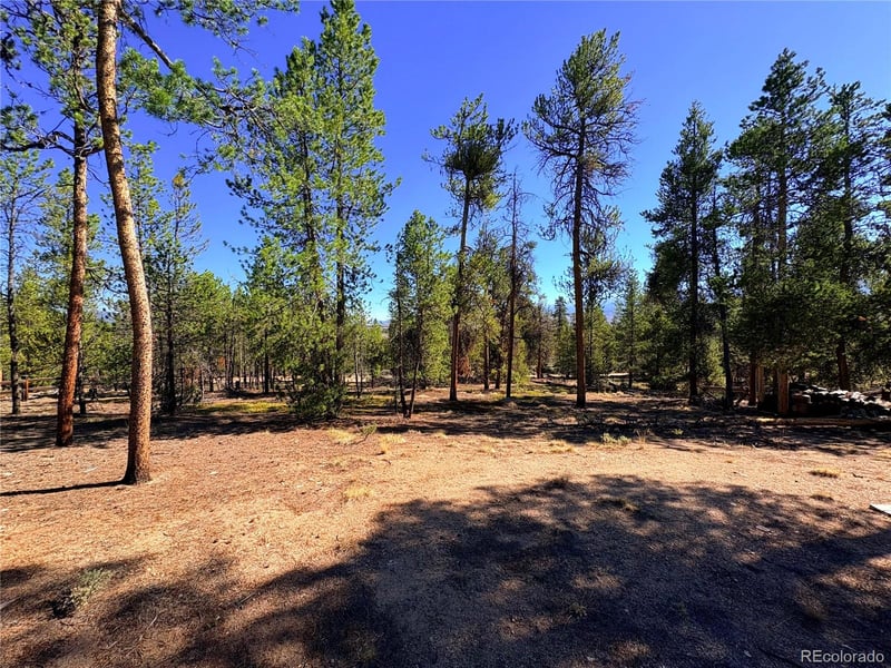 399 Lodgepole Dr Lot 28, Leadville, CO 80461