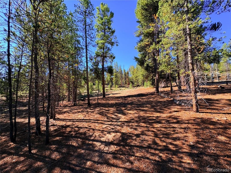 399 Lodgepole Dr Lot 28, Leadville, CO 80461