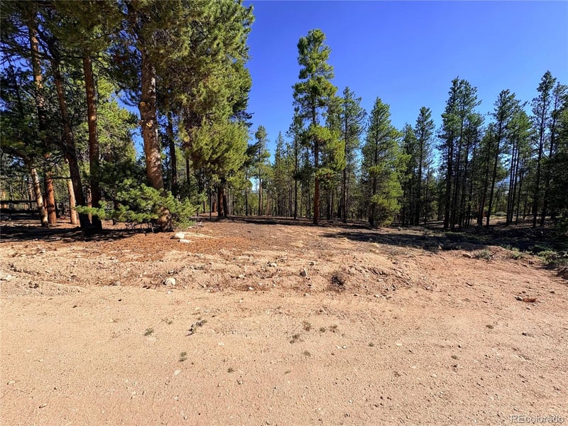 399 Lodgepole Dr Lot 28, Leadville, CO 80461