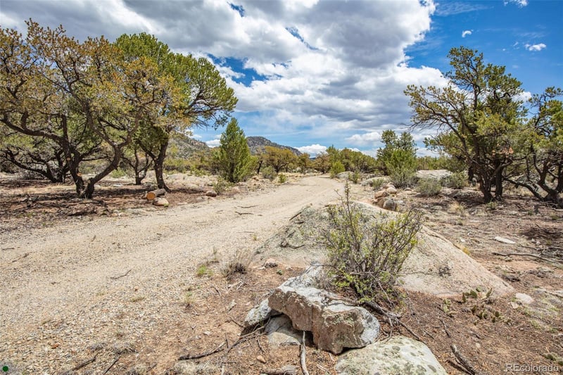 Midland Cir #373A, Buena Vista, CO 81211