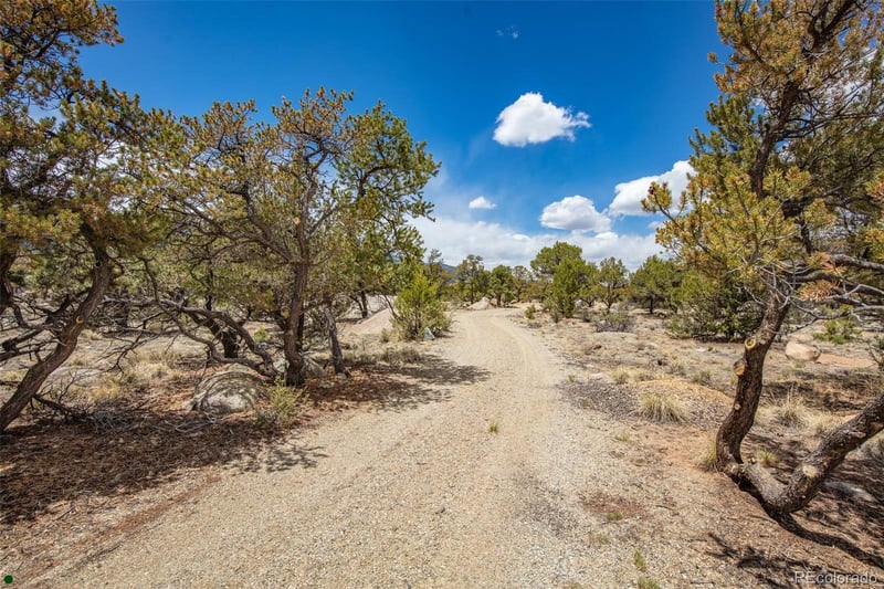 Midland Cir #373A, Buena Vista, CO 81211