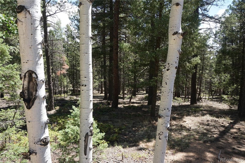 616 Indian Creek Rd, Florissant, CO 80816