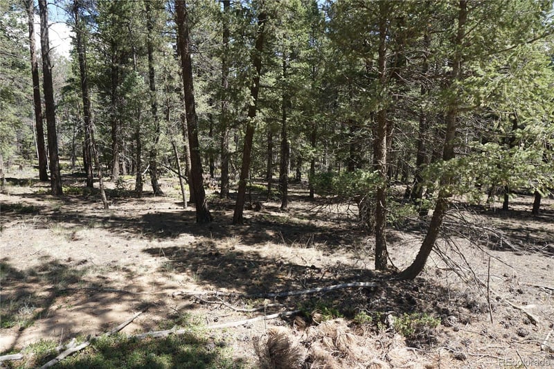 616 Indian Creek Rd, Florissant, CO 80816