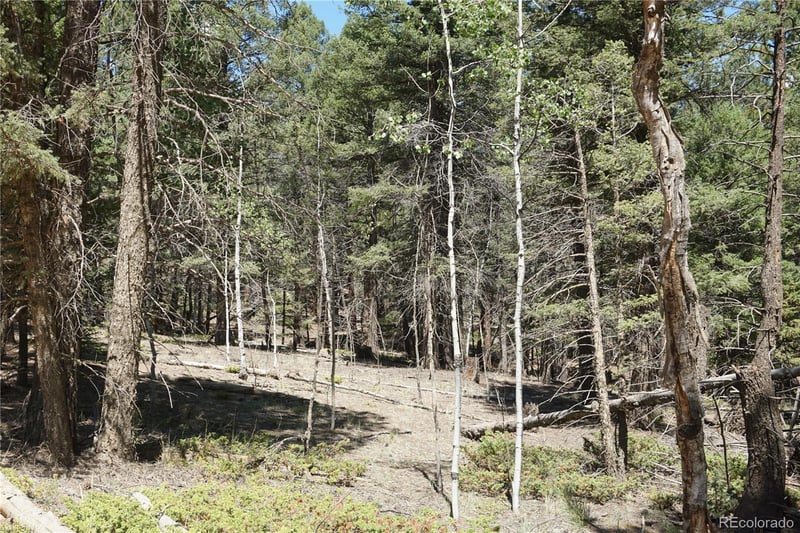 616 Indian Creek Rd, Florissant, CO 80816