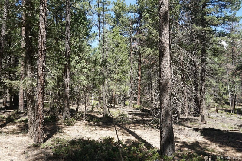 616 Indian Creek Rd, Florissant, CO 80816