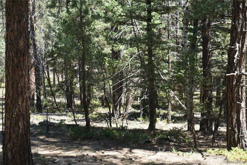 616 Indian Creek Rd, Florissant, CO 80816