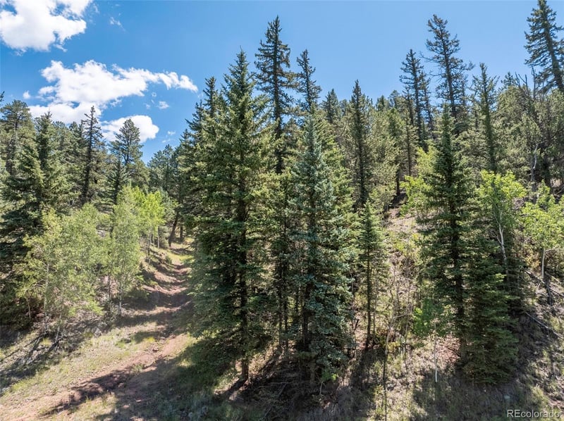 1676 Pathfinder Rd, Florissant, CO 80816
