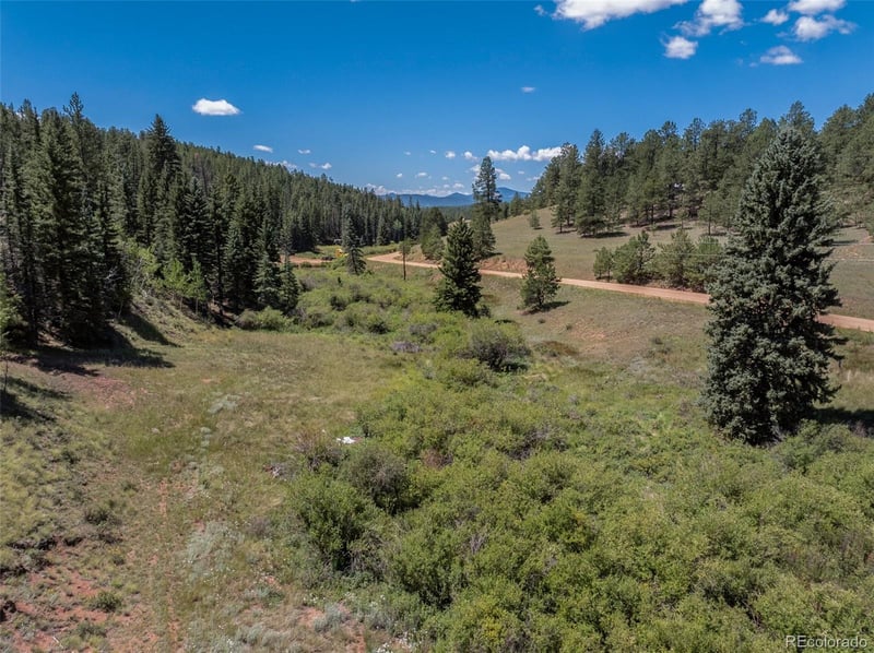 1676 Pathfinder Rd, Florissant, CO 80816
