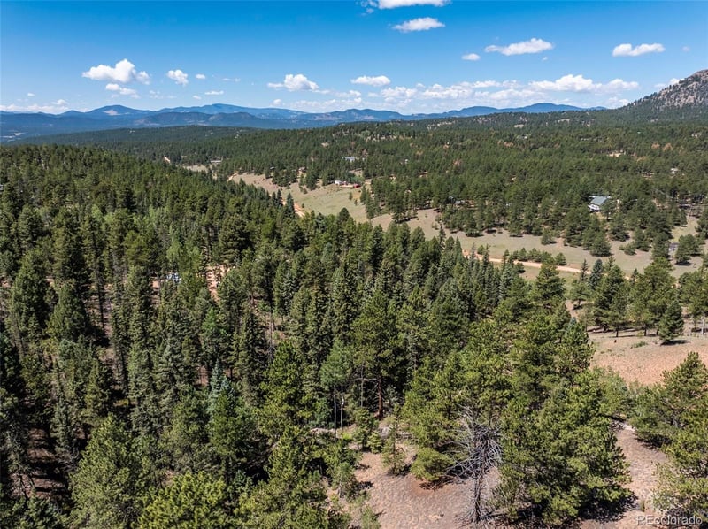 1676 Pathfinder Rd, Florissant, CO 80816