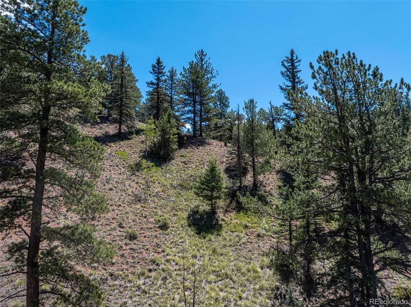 1676 Pathfinder Rd, Florissant, CO 80816