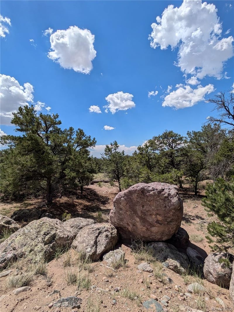 1240 Brookview Way, Crestone, CO 81131