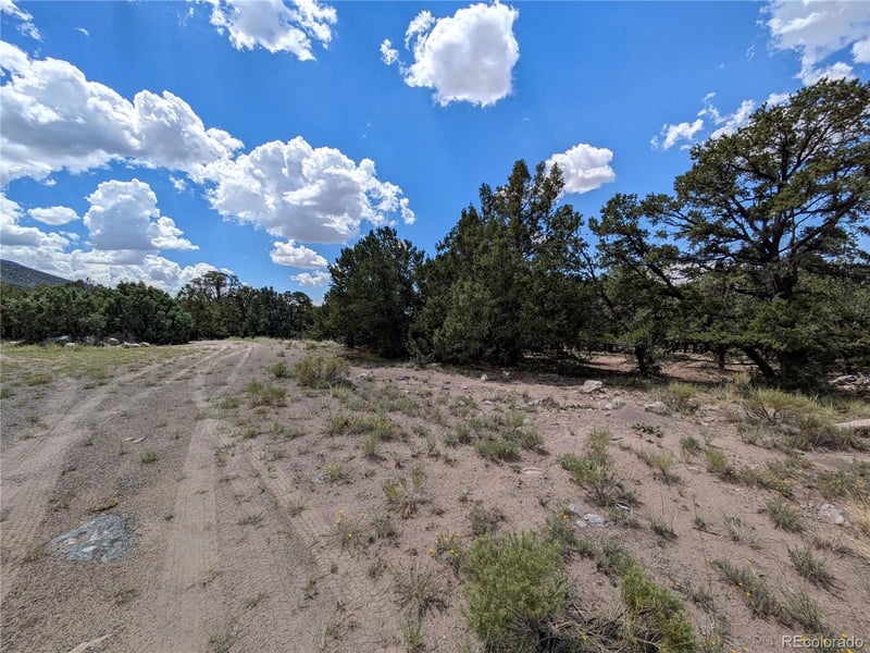 1240 Brookview Way, Crestone, CO 81131
