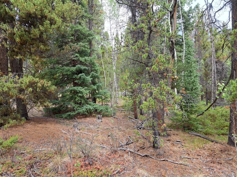 1201 Beaver Creek Rd, Fairplay, CO 80440
