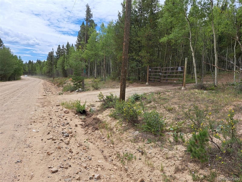 1201 Beaver Creek Rd, Fairplay, CO 80440