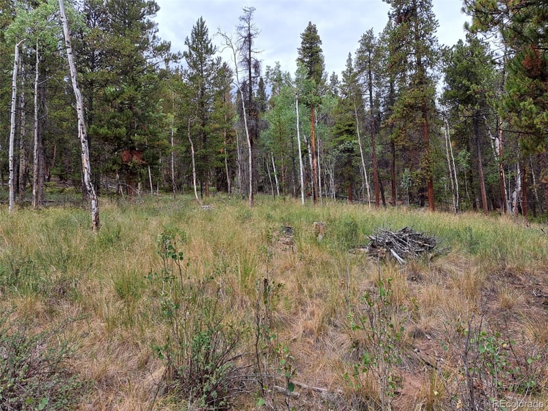 1201 Beaver Creek Rd, Fairplay, CO 80440