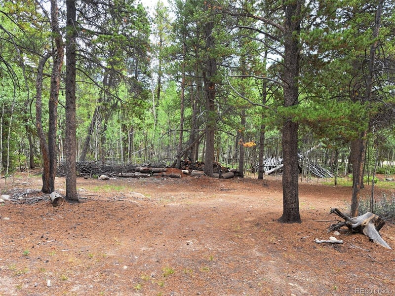 1201 Beaver Creek Rd, Fairplay, CO 80440