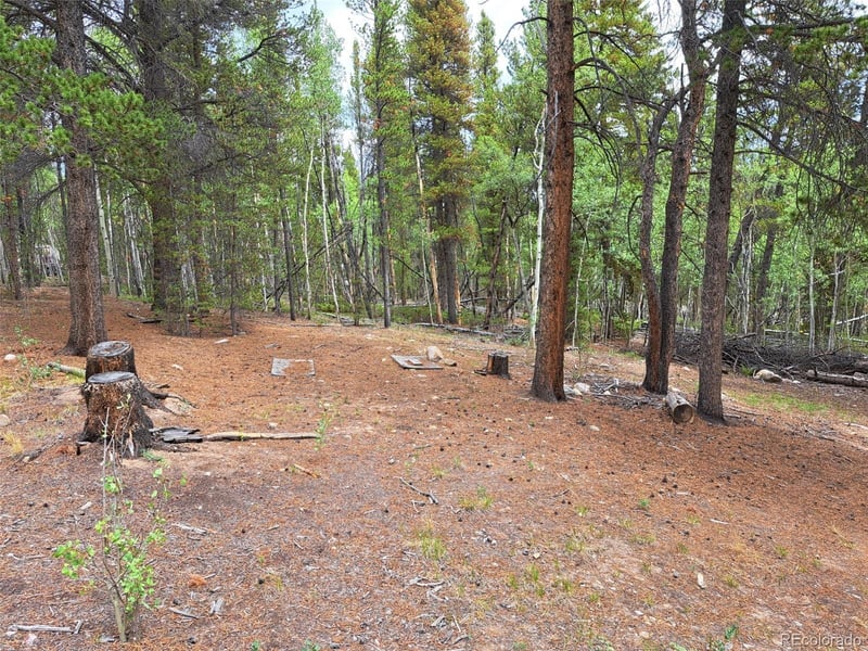 1201 Beaver Creek Rd, Fairplay, CO 80440