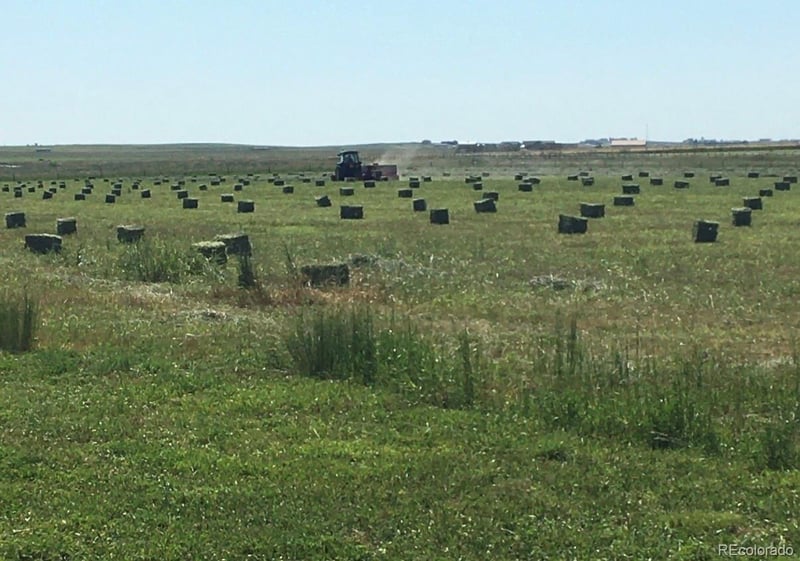 3904 Russellville Rd, Franktown, CO 80116