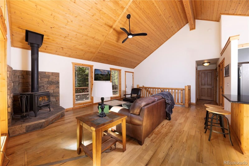 18 Puma Crossing, Fairplay, CO 80440