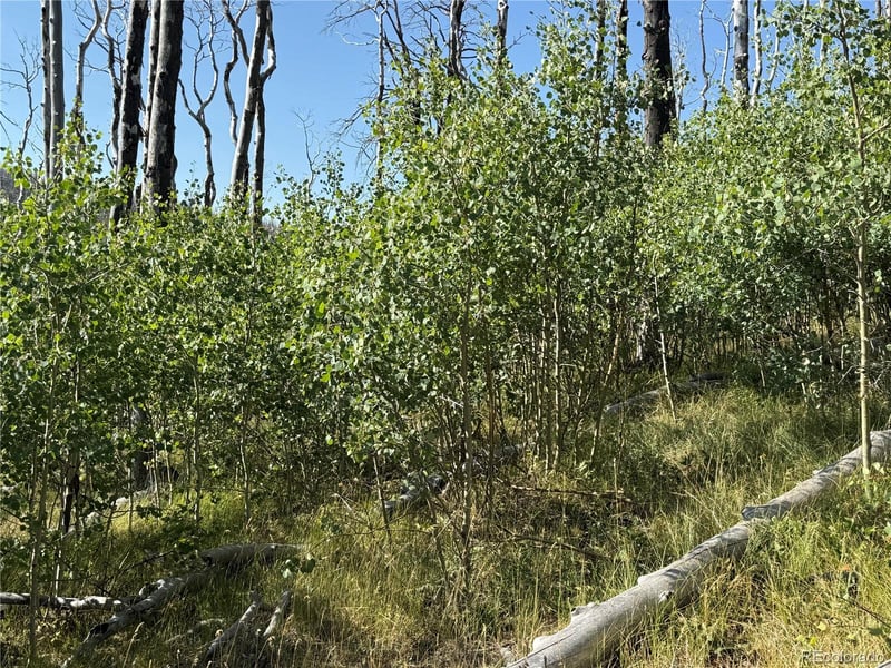 Lot 427 Kettleson Pl Lot 427, Fort Garland, CO 81133