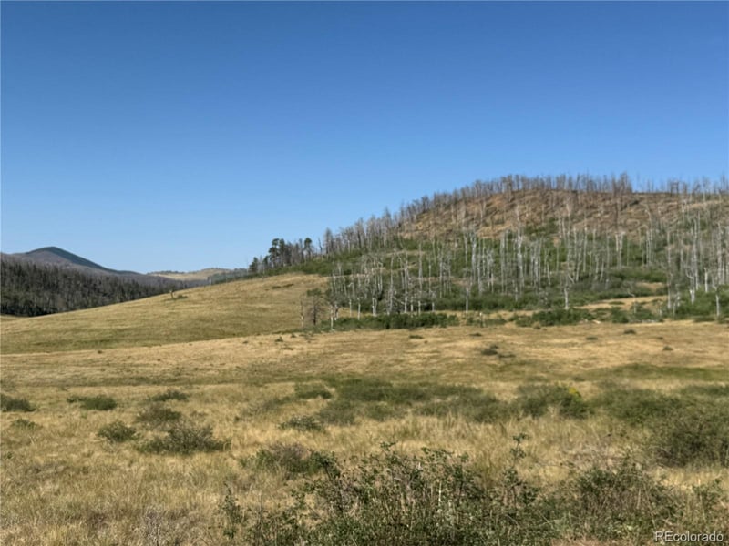 Lot 427 Kettleson Pl Lot 427, Fort Garland, CO 81133