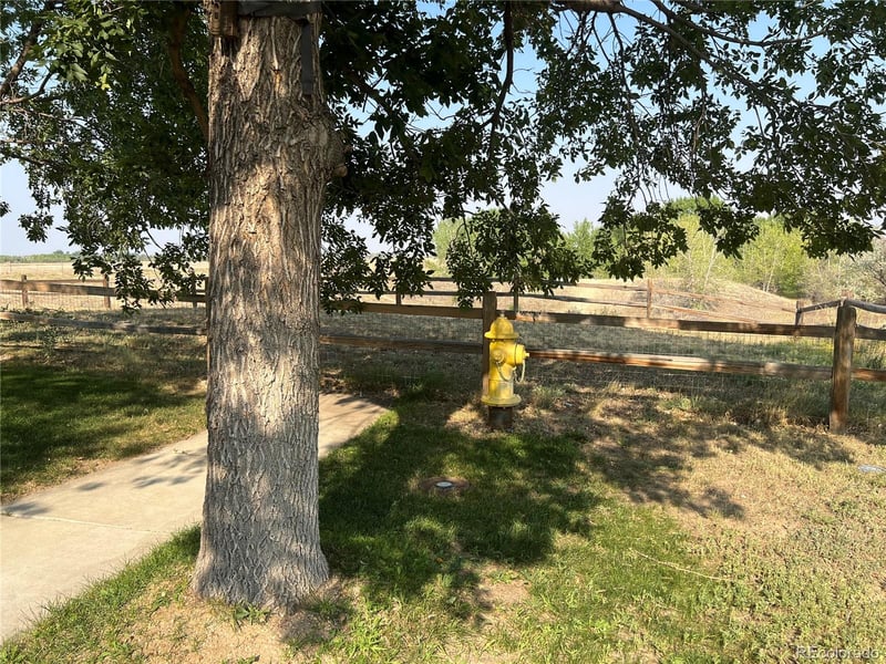 13847 E 107th Pl, Commerce City, CO 80022