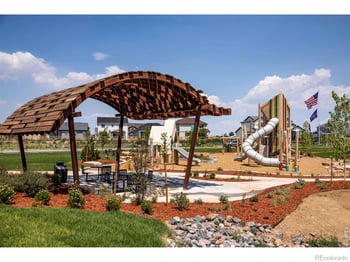 955 Trumpet Ln, Windsor, CO 80550
