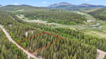64 Ski Doo Rd, Fairplay, CO 80440