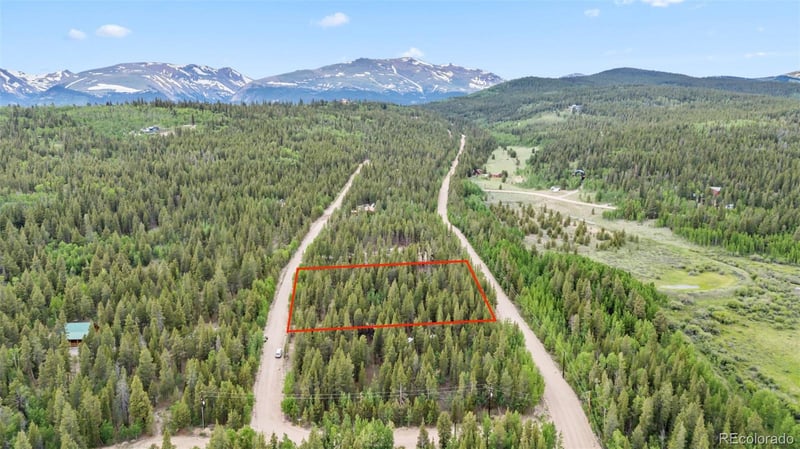 64 Ski Doo Rd, Fairplay, CO 80440