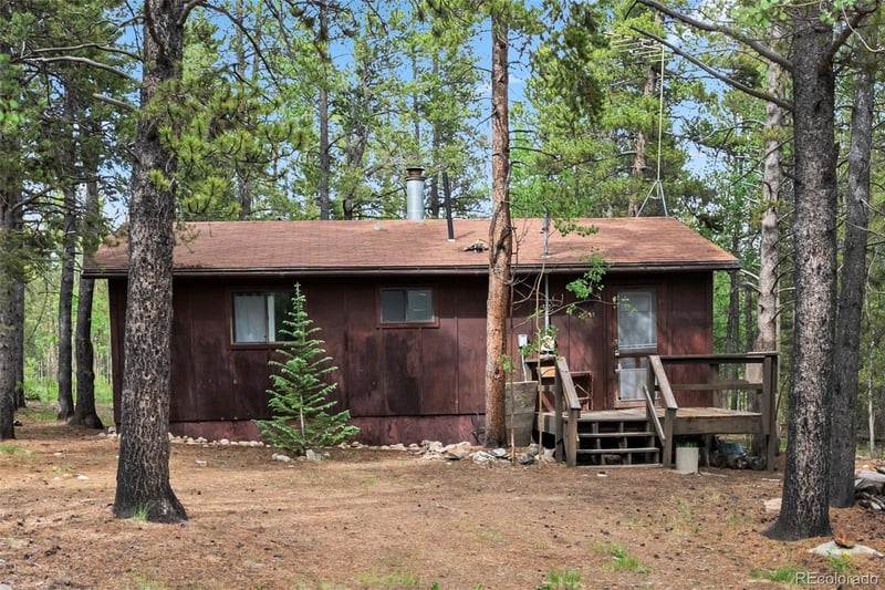 64 Ski Doo Rd, Fairplay, CO 80440