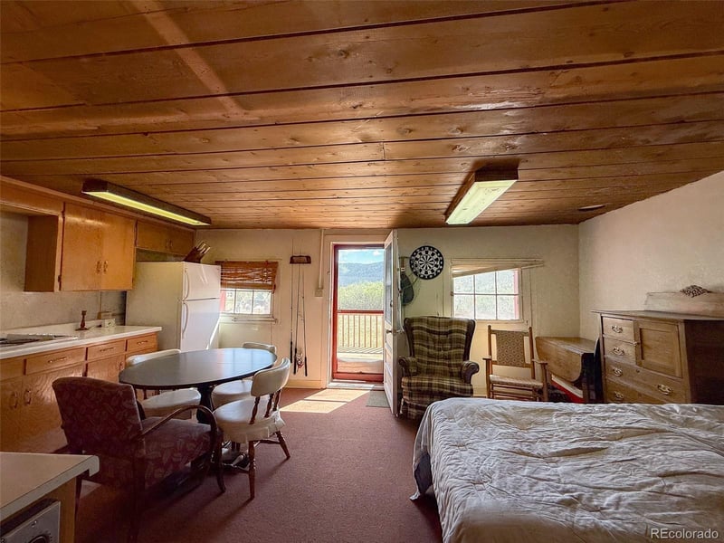 4100 Usfs 515 Rd #286, Creede, CO 81130
