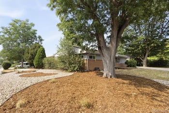 6095 Cody St, Arvada, CO 80004