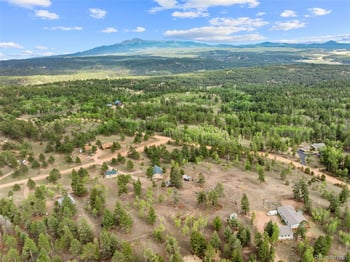 55 Crystal Peak Dr, Lake George, CO 80827