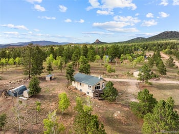 55 Crystal Peak Dr, Lake George, CO 80827