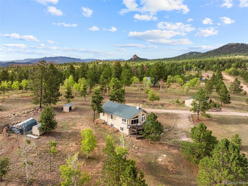 55 Crystal Peak Dr, Lake George, CO 80827